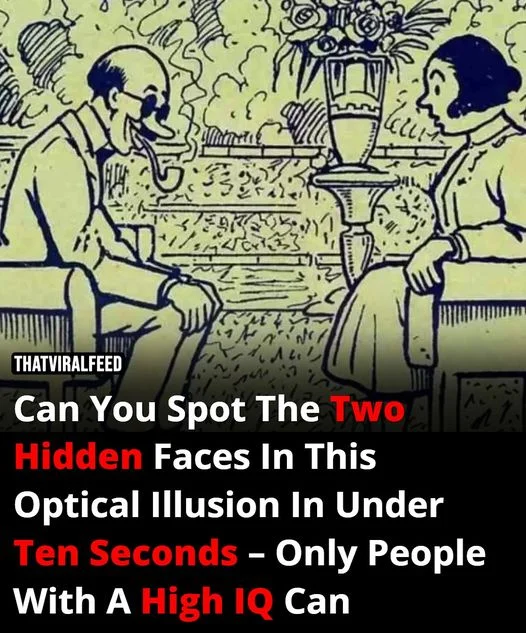 447432533_122145534902234729_2326621419073557663_n