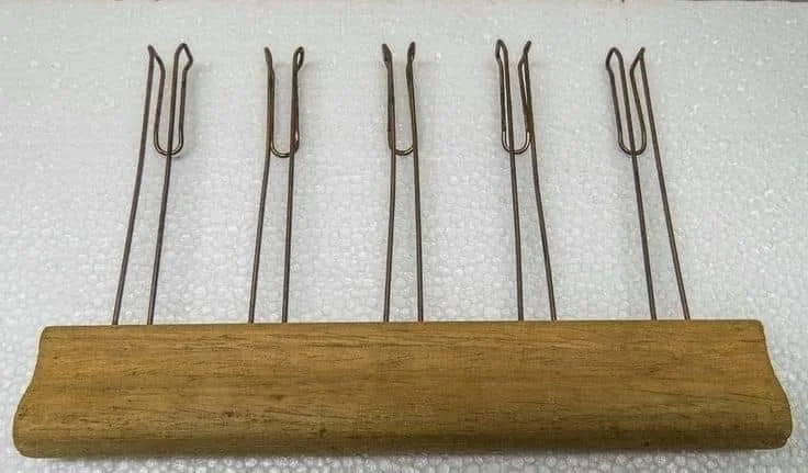 450426722_404200412646389_2983550890379448607_n
