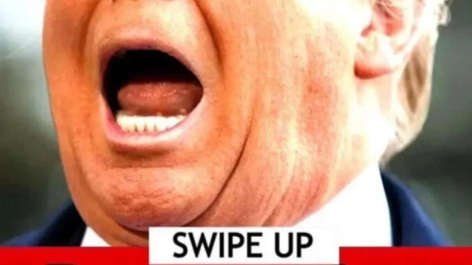 463081231_122117587742506315_9048085431368152480_n