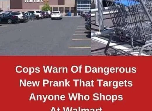 488782569_634632062710058_1790435118356867103_n