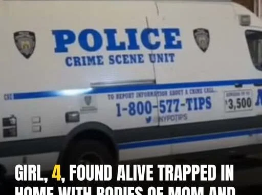 492823985_669320526076234_7884969466515716427_n