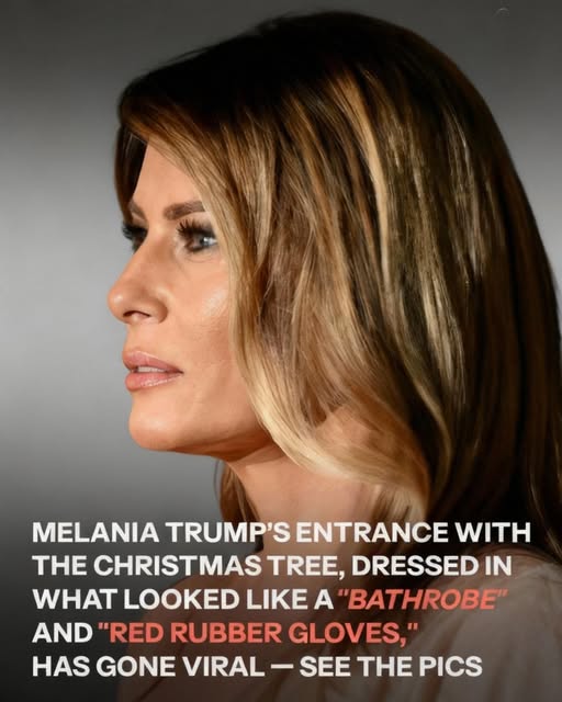 Melania Trump Greets the White House Christmas Tree with Grace and Festive Charm