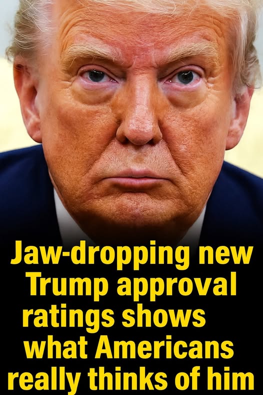 Fresh Trump Approval Poll Shows What the U.S. Truly Believes